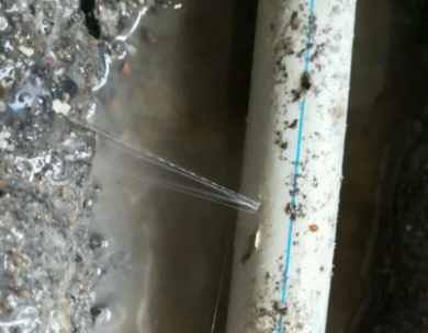 平利测漏水哪家好