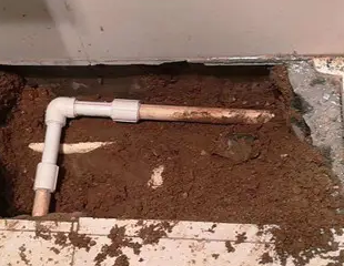 平利测漏水哪家好