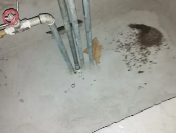 平利卫生间测漏水价格明细