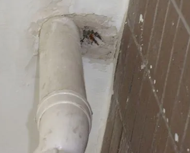 平利漏水检测哪家好